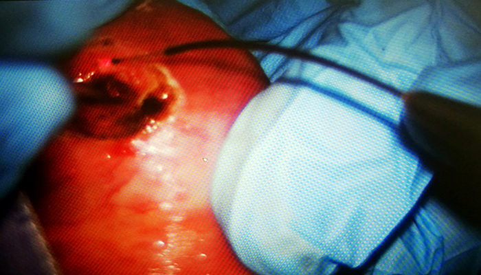 微信图片_20171208090050.jpg 微信图片_20171208090050.jpg