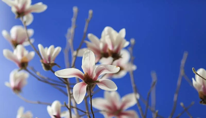 640.webp (1).jpg 640.webp (1).jpg