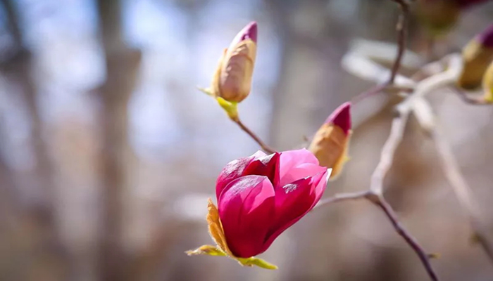 640.webp (2).jpg 640.webp (2).jpg