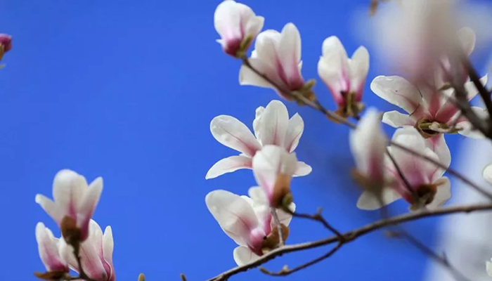 640.webp (3).jpg 640.webp (3).jpg