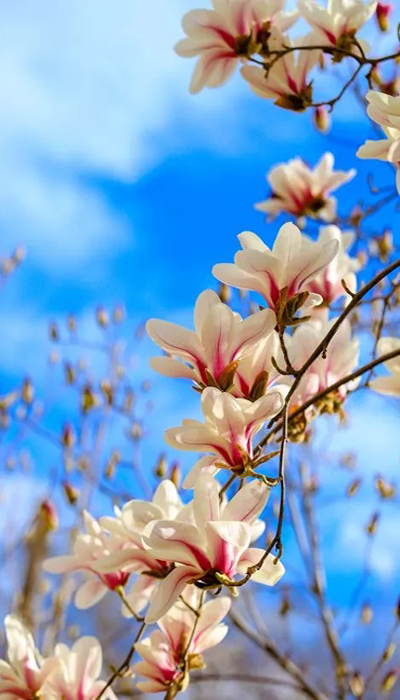 640.webp (5).jpg 640.webp (5).jpg