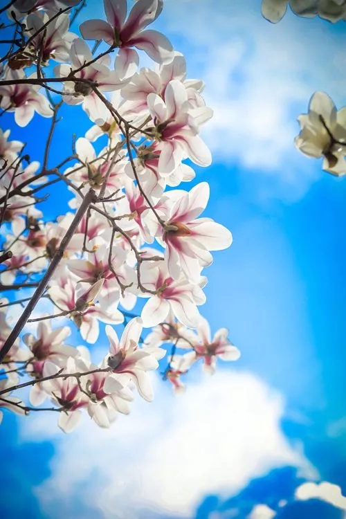 640.webp.jpg 640.webp.jpg