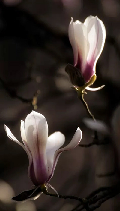 640.webp (4).jpg 640.webp (4).jpg