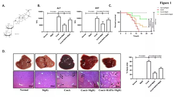 640.webp (1).jpg 640.webp (1).jpg