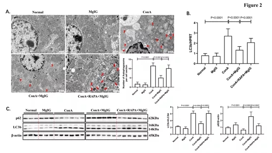 640.webp (2).jpg 640.webp (2).jpg
