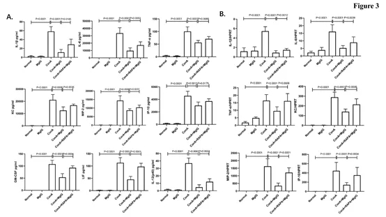 640.webp (3).jpg 640.webp (3).jpg