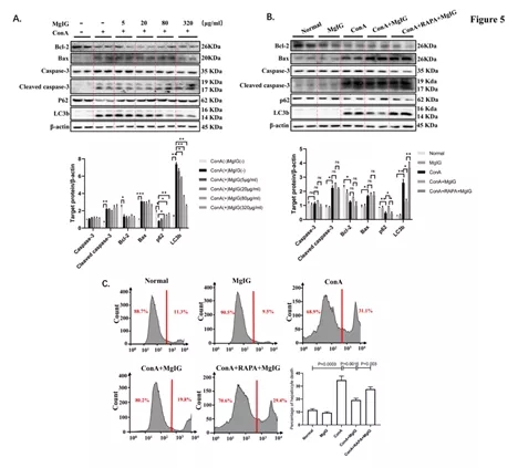 640.webp (4).jpg 640.webp (4).jpg