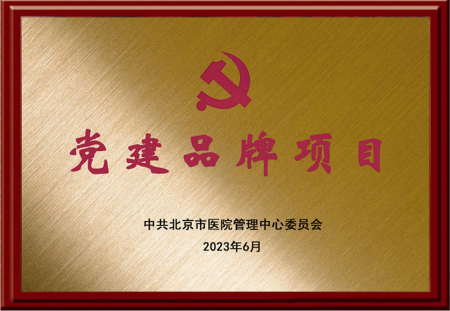 党建品牌项目.jpg